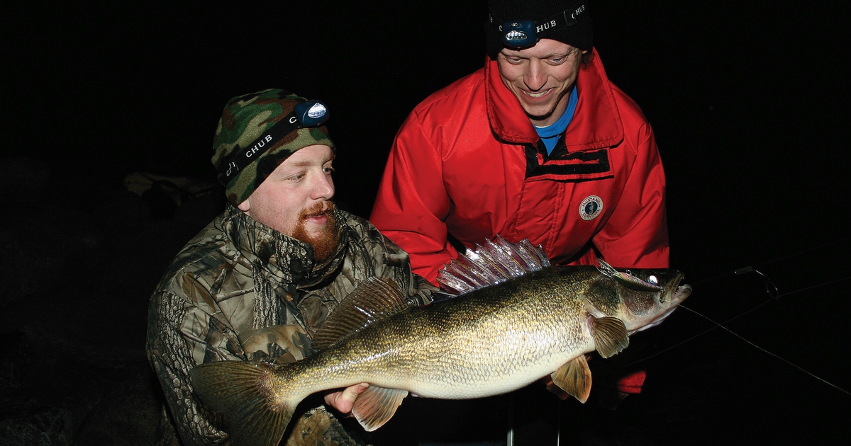 A shore thing for walleye