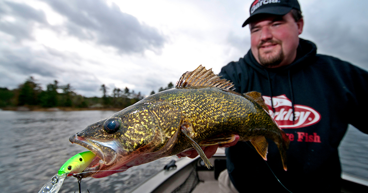 On-Target Walleye