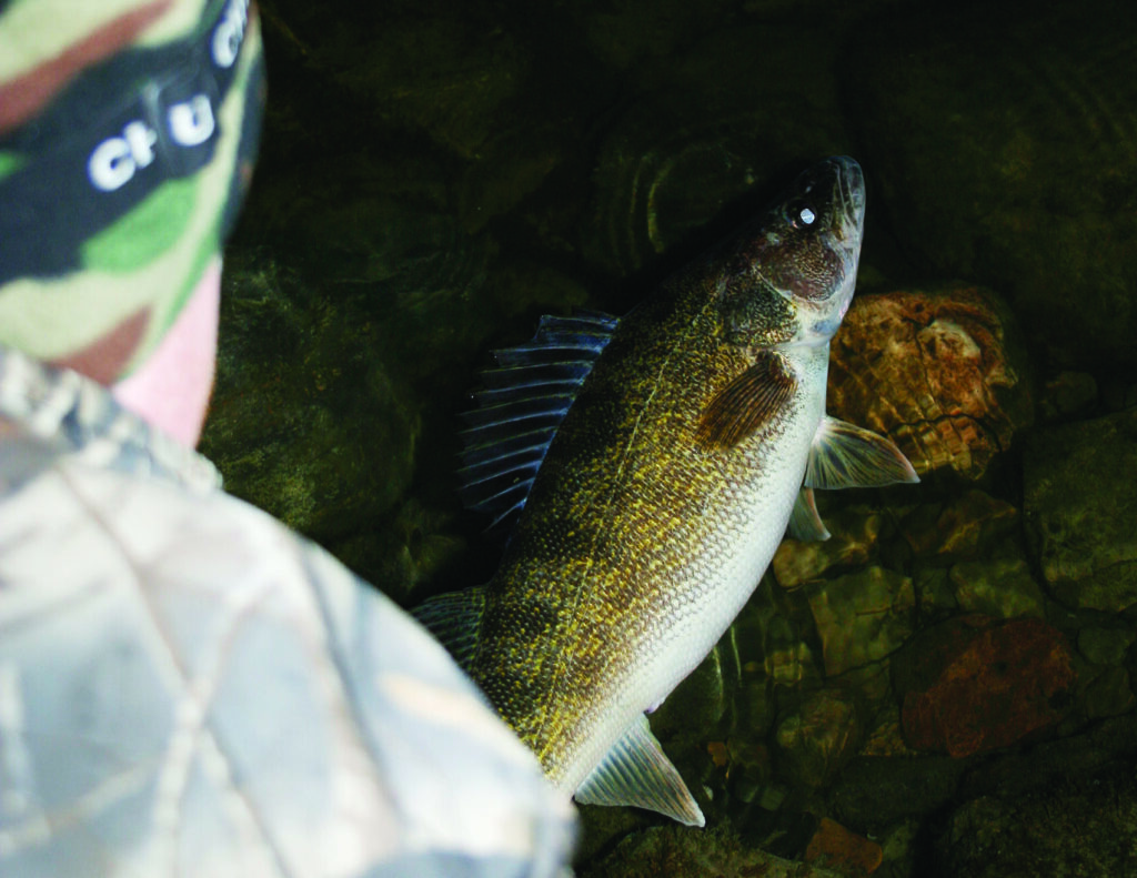 shor fishing for walleye