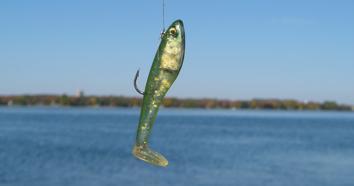 Walleye Digital: The swimbait revival