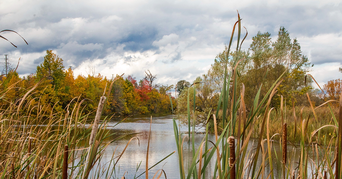 Conservation Authorities