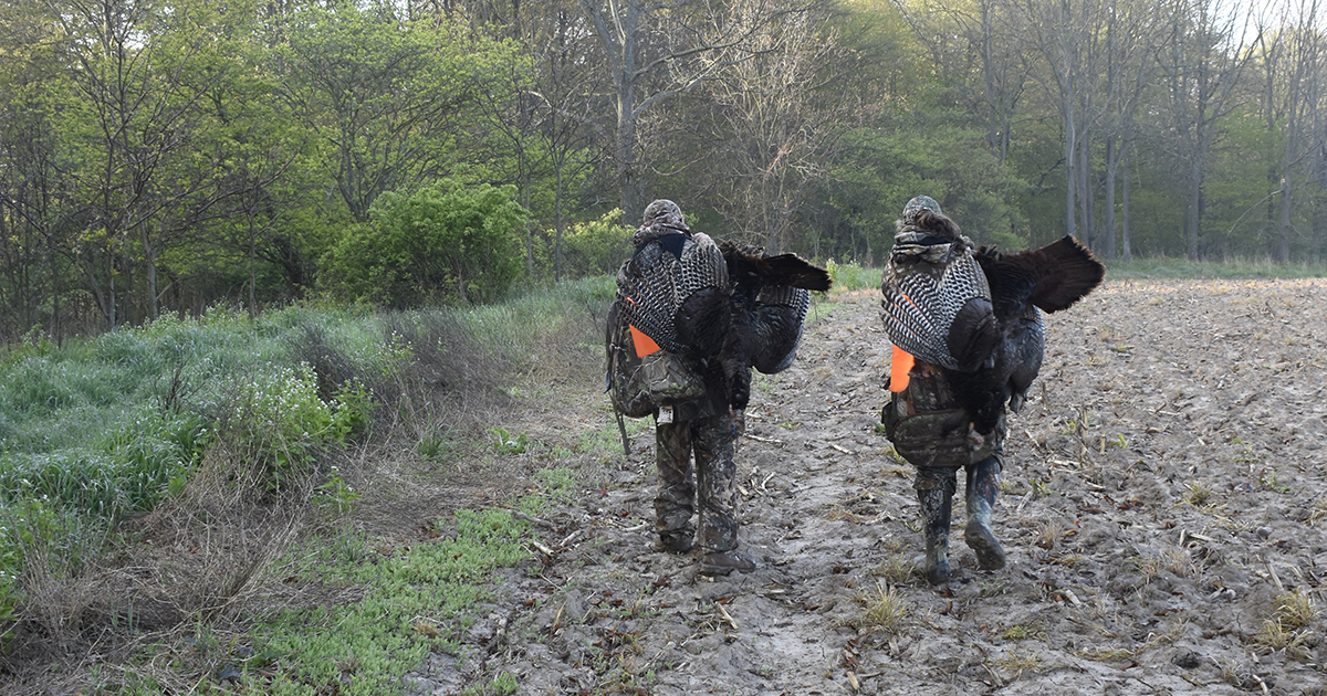 doubling down with turkey