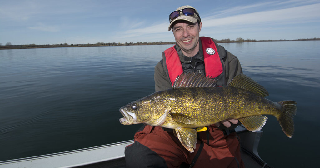 walleye opener