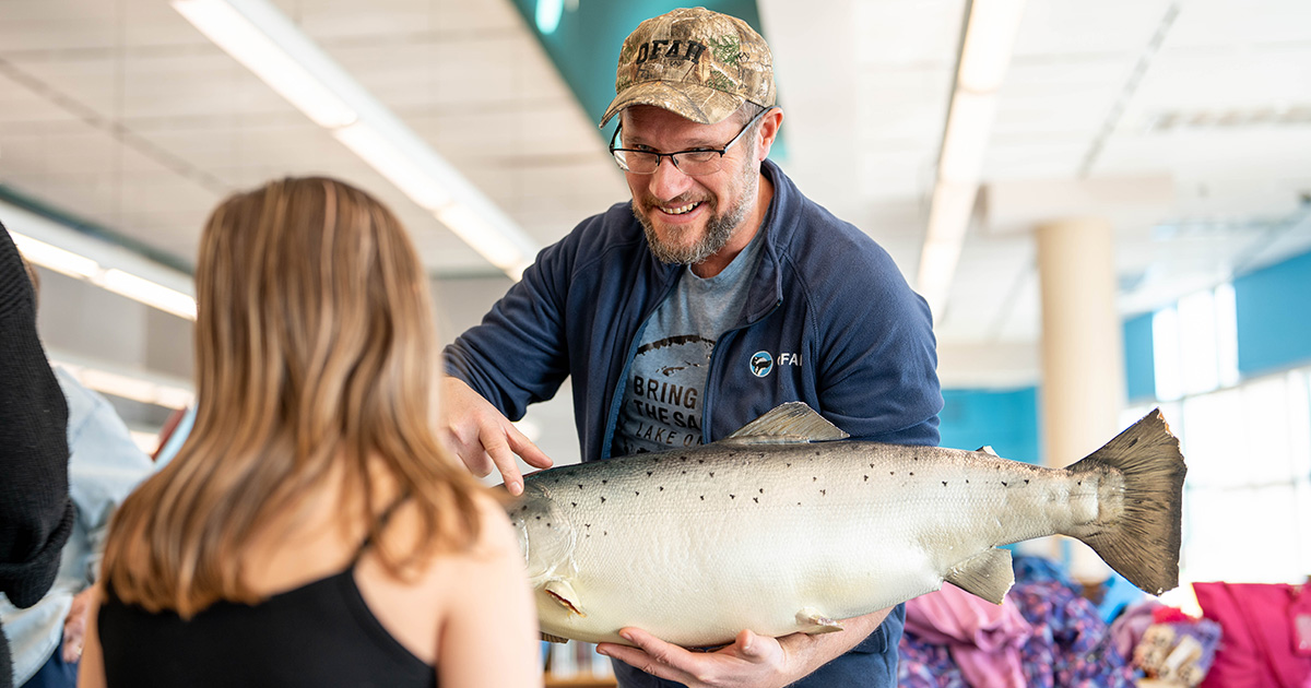 bring back the salmon