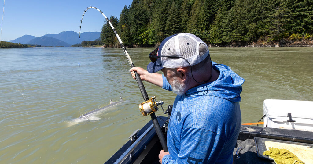 Jurassic Classic sturgeon