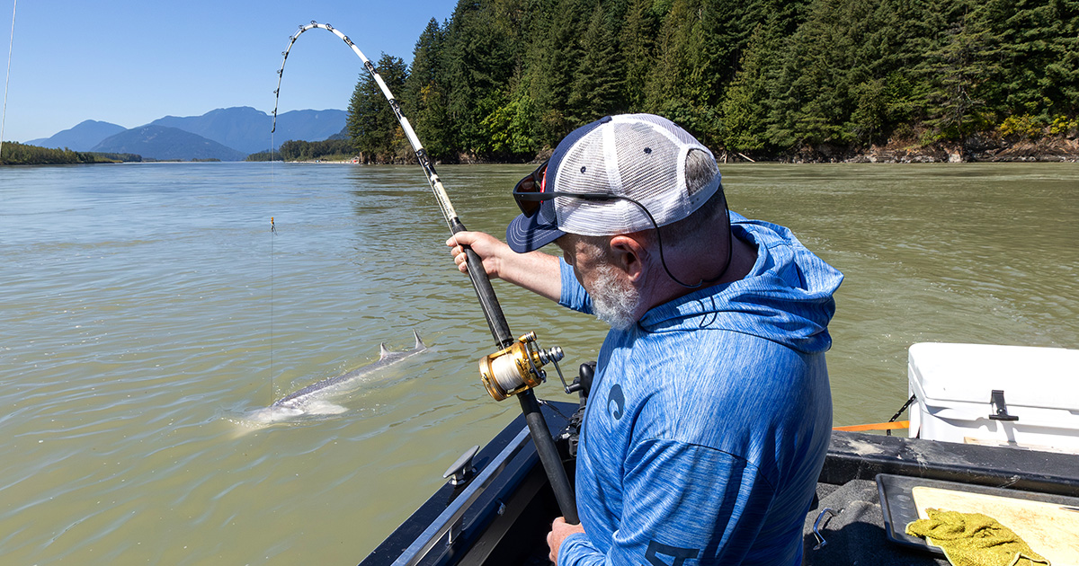 Jurassic Classic sturgeon