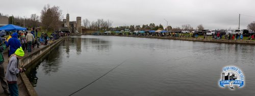 36th Annual OFAH Under the Lock Fishing Derby