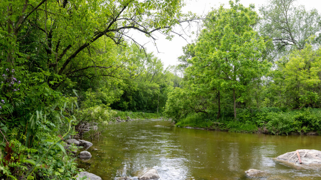 Creek in Ontario