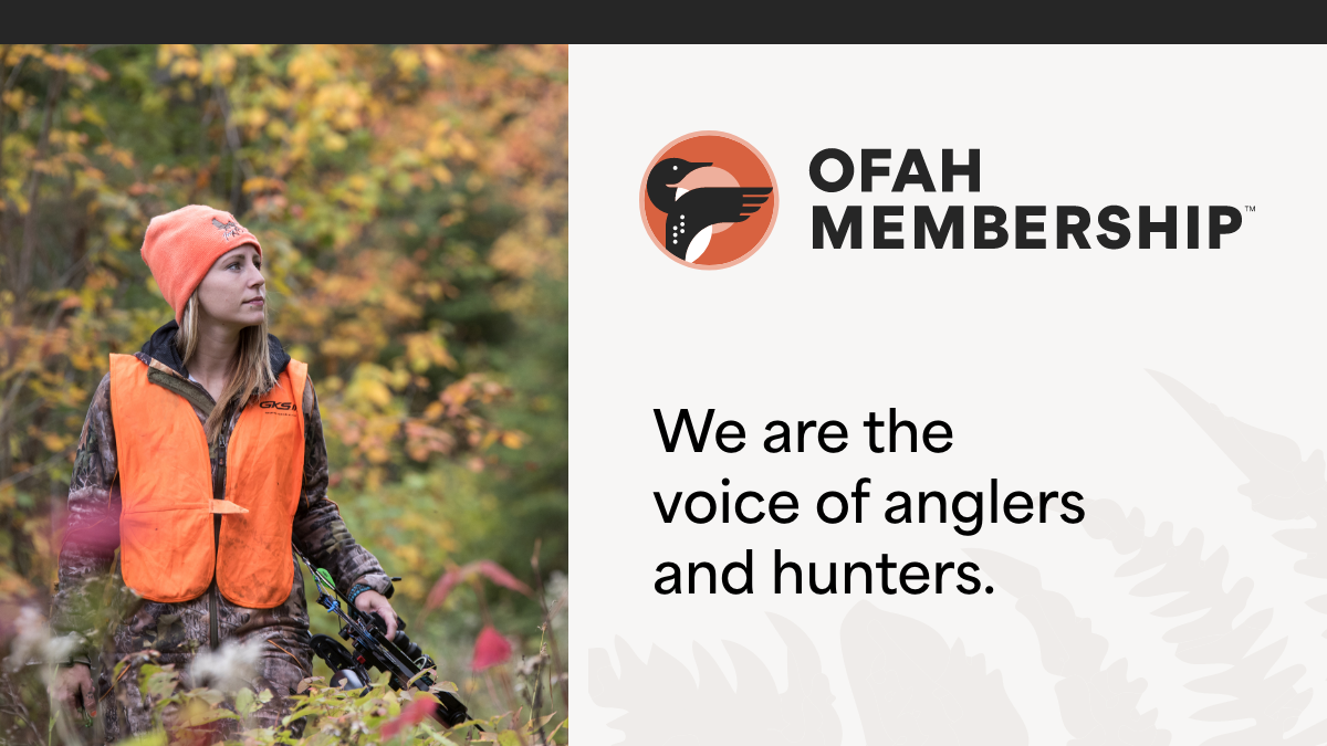 Copyright Ofah.org (c) Ofah.org