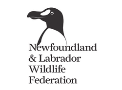Newfoundland & Labrador Wildlife Federation
