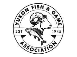 Yukon Fish & Game Association