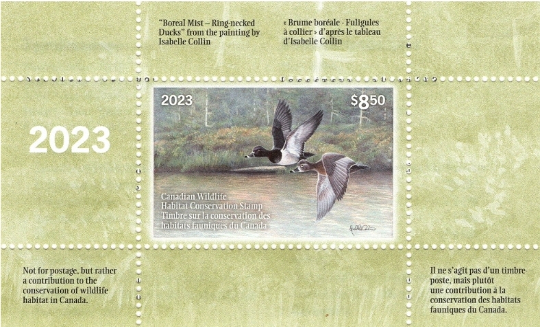  CPP111246  Canada Post Baby Wildlife Postage Stamp Booklet ( International), 6 Booklet
